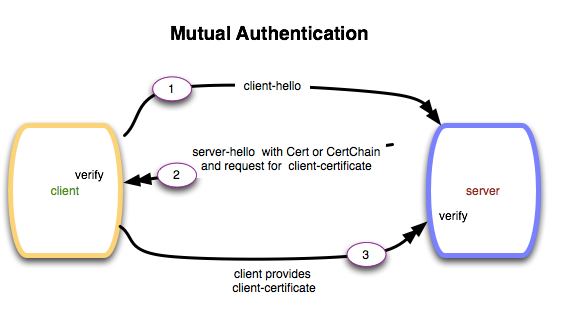 More information about "SSL mutual authentication"